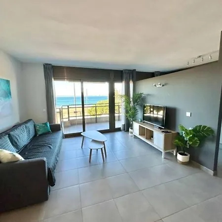 - Marivent Apartment Roses